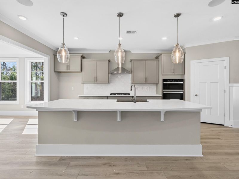 Furnished interior view inside a new home in Collins Cove, Chapin (Image 5).