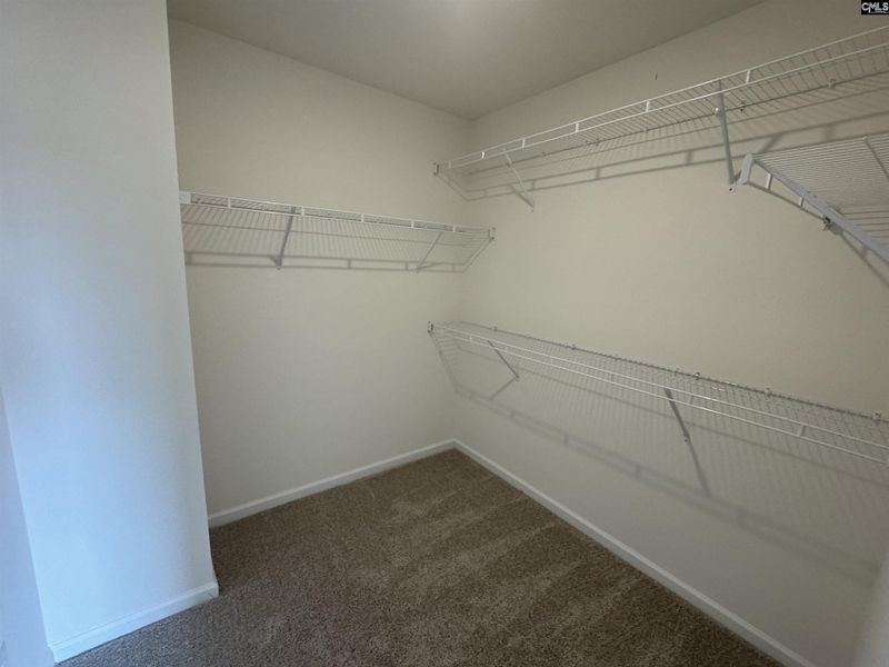 Spacious, unfurnished interior of a new home in Boykin Hills, Chapin (Image 46).