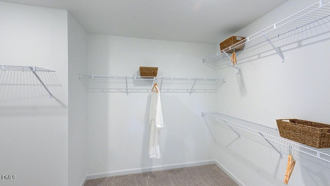 Andrews_40 Andrews_40