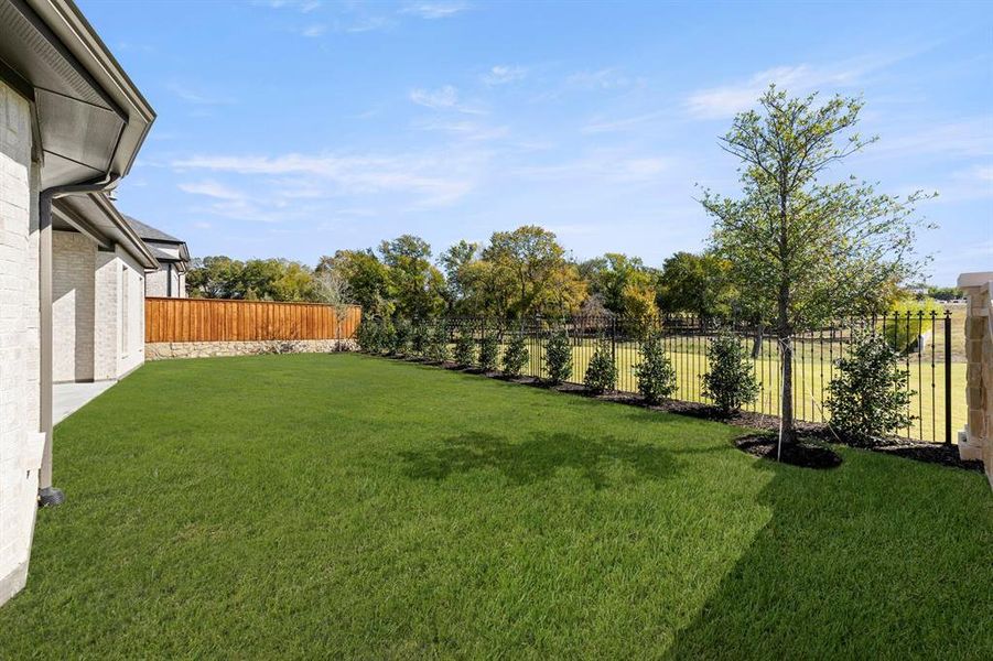 43. 741 Capella - Back (2) 43. 741 Capella - Back (2)