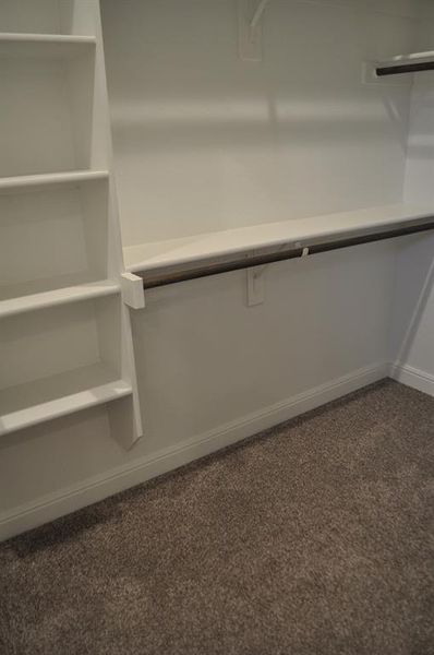 Spacious closet with dark colored carpet