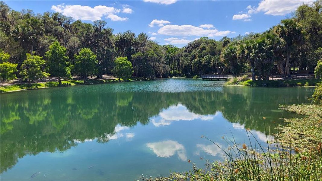 Natural landscape and outdoor views near in Debary (Image 31). Natural landscape and outdoor views near in Debary (Image 31).