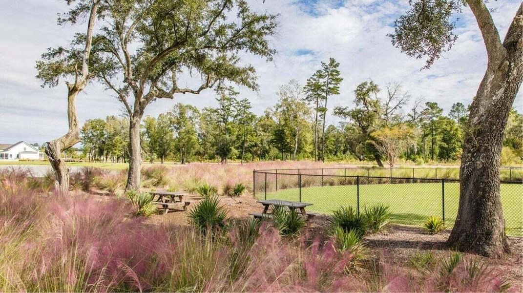 Natural landscape and outdoor views near  in Summerville (Image 9).