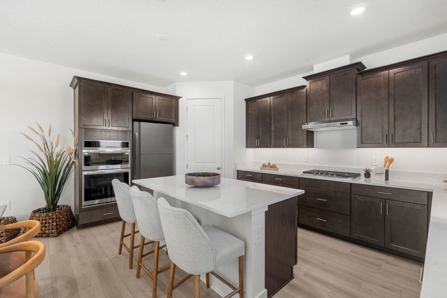 Gorgeous Gourmet Kitchen