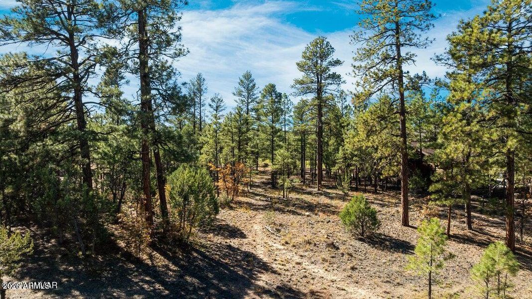 20251110205714715015000000-o 20251110205714715015000000-o