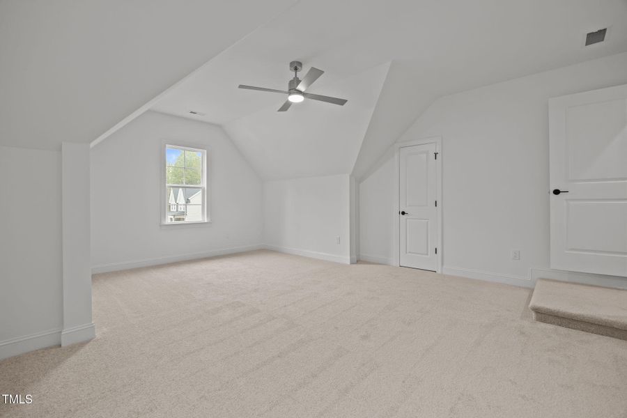 38-web-or-mls-IMG_7970