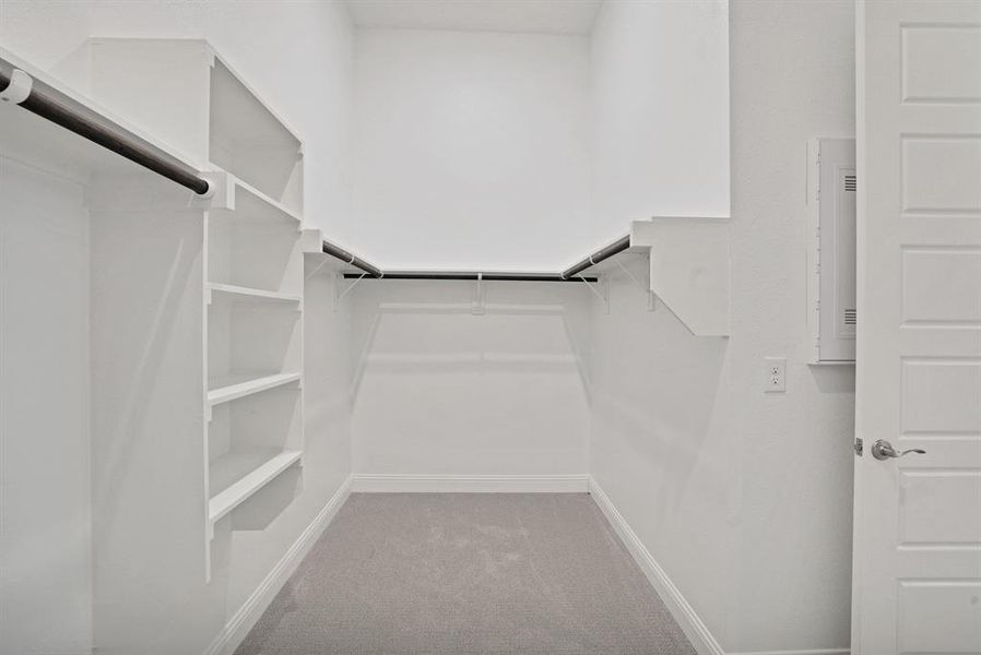 Spacious Primary closet with light colored carpet