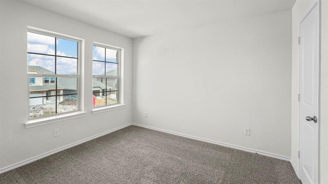 Light-filled room featuring two windows with grid patterns, neutral grey carpeting, white baseboards, and a white interior door