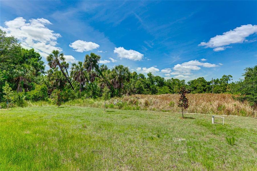 Natural landscape and outdoor views near  in North Port (Image 38).