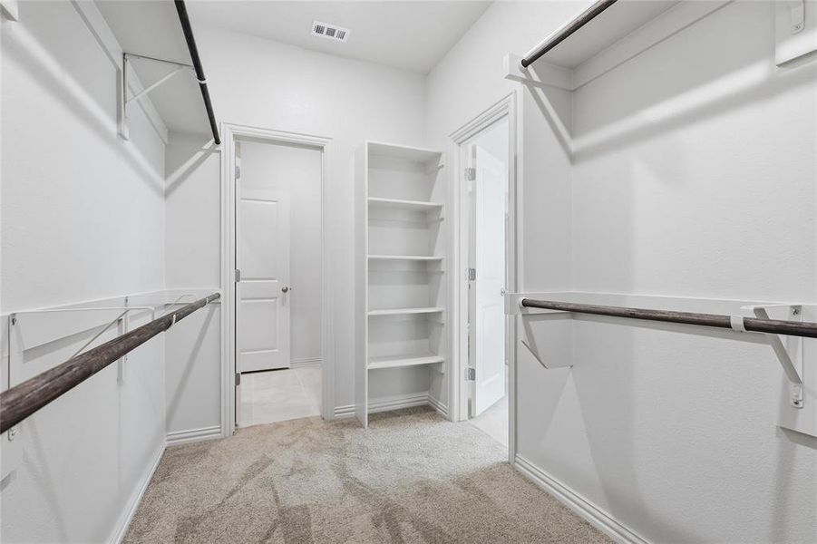 Walk-in closet featuring carpet flooring, built-in shelving, two hanging rods, and bright white walls