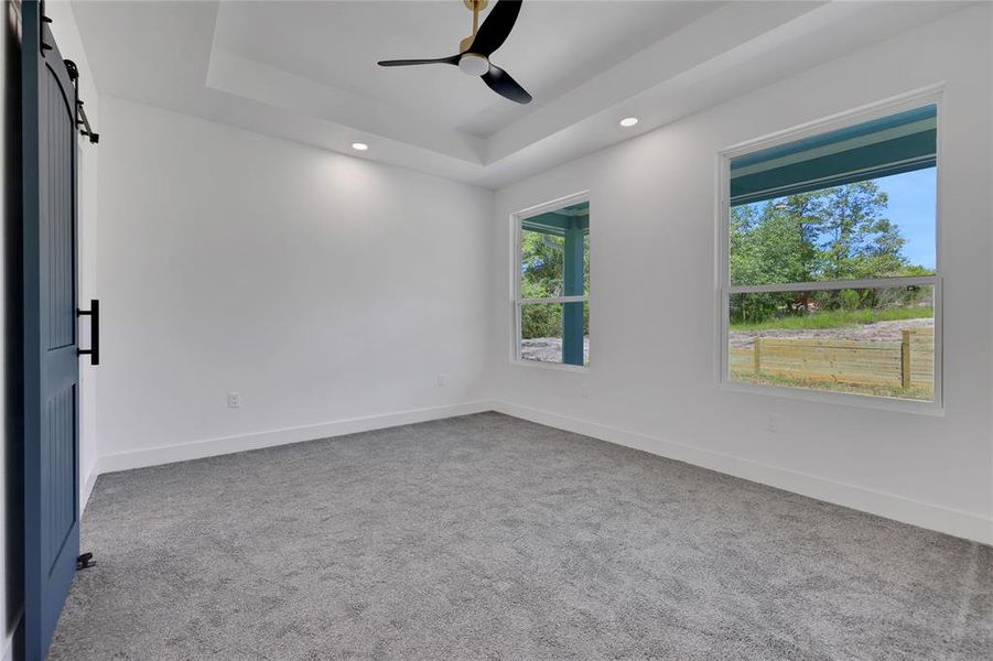 The primary bedroom has a tray ceiling and overlooks the back yard