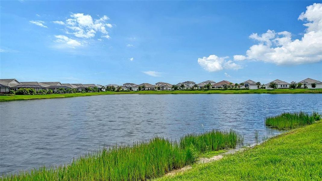 Natural landscape and outdoor views near LakeHouse Cove at Waterside in Sarasota (Image 62). Natural landscape and outdoor views near LakeHouse Cove at Waterside in Sarasota (Image 62).