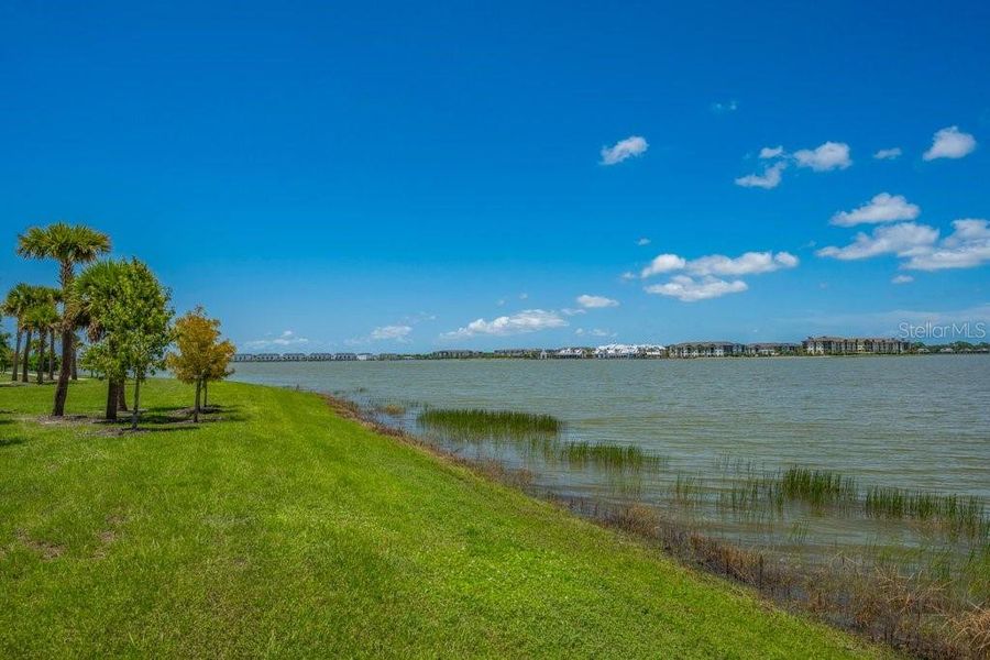 Natural landscape and outdoor views near  in Sarasota (Image 39).