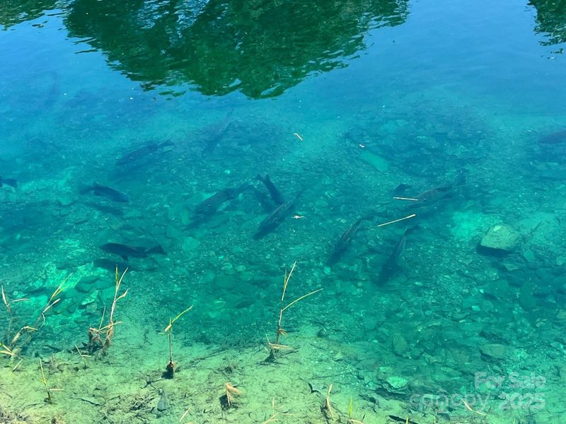 Two ponds stocked with Bass, Brim, Sunfish