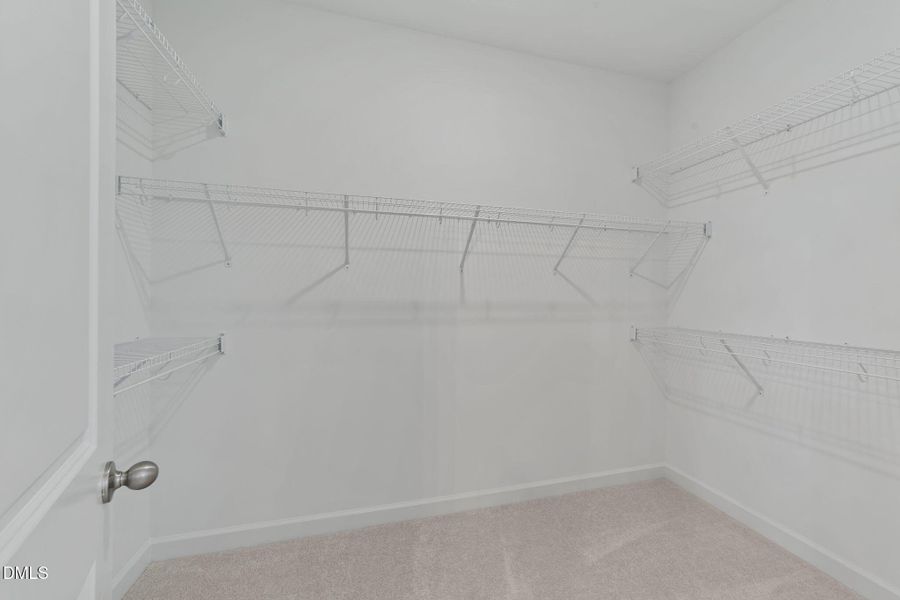 44-web-or-mls-VB4A8856