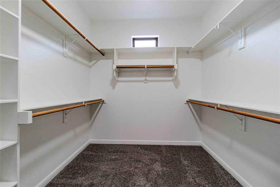 Spacious closet featuring carpet floors