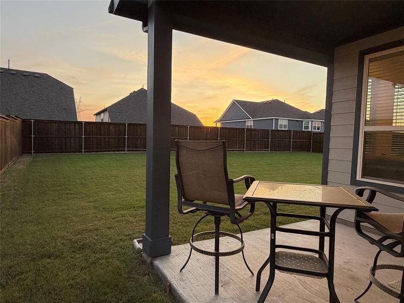 Just Look at the Size of This Back Yard!