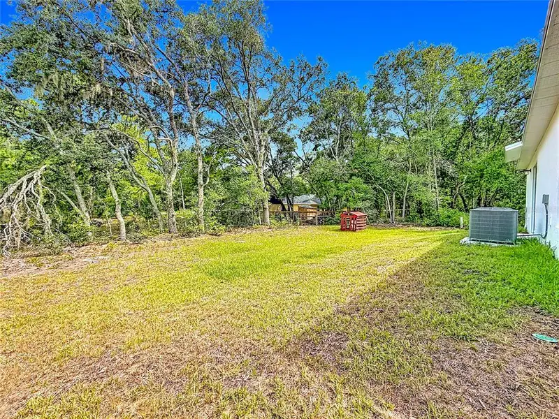 Natural landscape and outdoor views near The Collection at Ocklawaha in Ocklawaha (Image 41). Natural landscape and outdoor views near The Collection at Ocklawaha in Ocklawaha (Image 41).