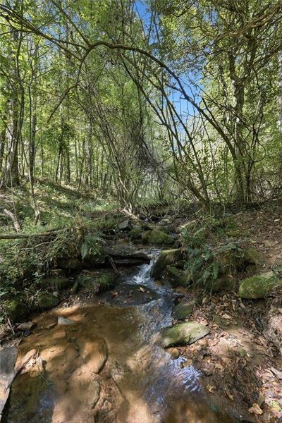 Natural landscape and outdoor views near  in Ellijay (Image 46).