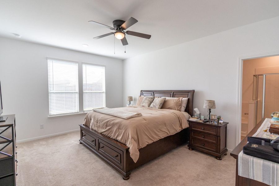 Primary Room Primary Room