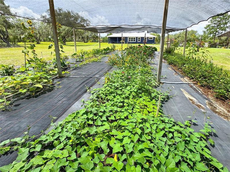 Community amenities in , Dunnellon (Image 79).
