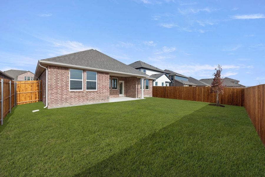 Rear Exterior Design