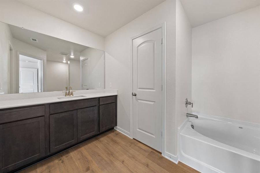 Bathroom with wood-style flooring and vanity