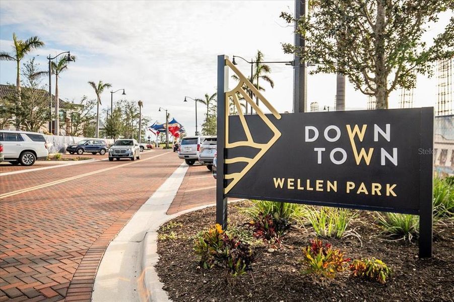 Image 50 of a home in Sunstone at Wellen Park.