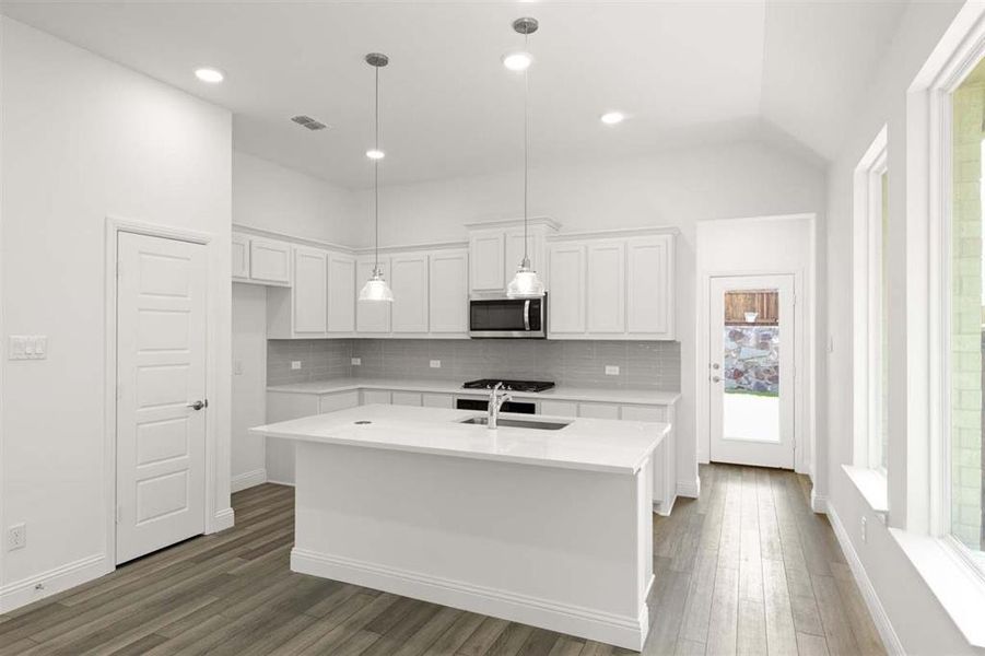 06_Palmetto Representative Photo