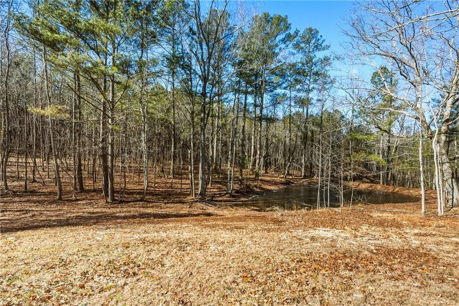 Natural landscape and outdoor views near in Rockmart (Image 27). Natural landscape and outdoor views near in Rockmart (Image 27).