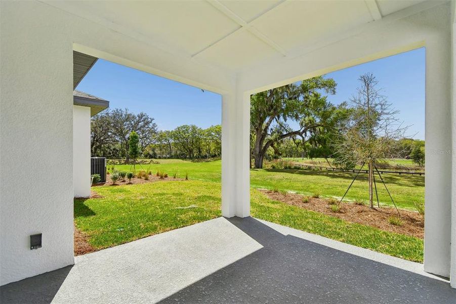 Exterior details and patio area of a home in Oakfield at Mount Dora Village Series, Mount Dora (Image 19).