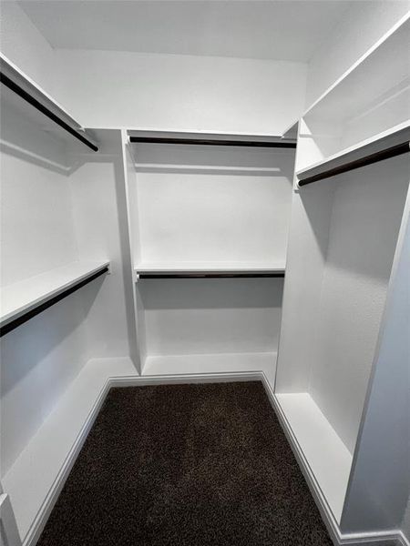 Walk in closet featuring dark colored carpet Walk in closet featuring dark colored carpet