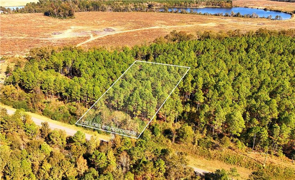 Natural landscape and outdoor views near  in Chester (Image 11).