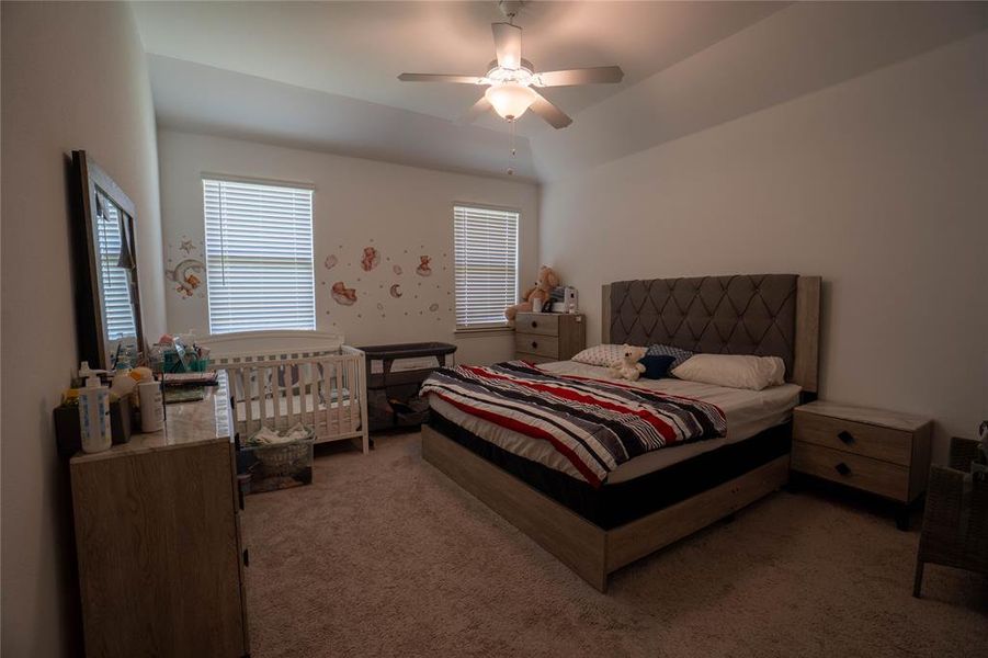 Spacious bedroom featuring a tray ceiling, ceiling fan with integrated lighting, twin windows with blinds, and carpeted flooring