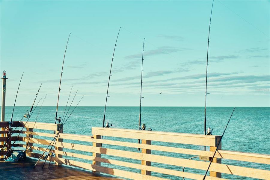 Natural landscape and outdoor views near  in Port Charlotte (Image 68).