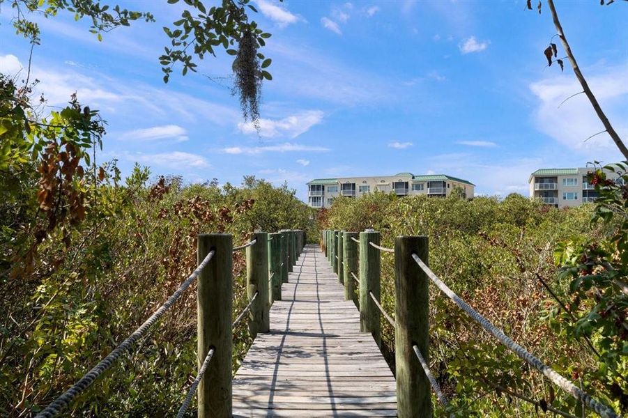 Natural landscape and outdoor views near  in New Smyrna Beach (Image 59).
