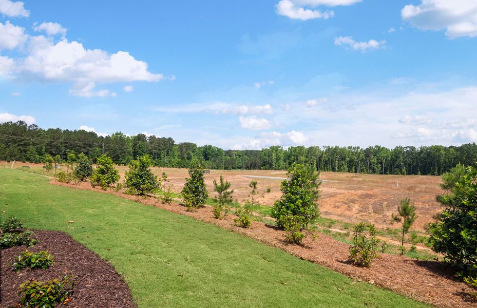 Outdoor and nature views near homes built from the Medina by Pulte Homes in Overland, Locust Grove (Image 33).