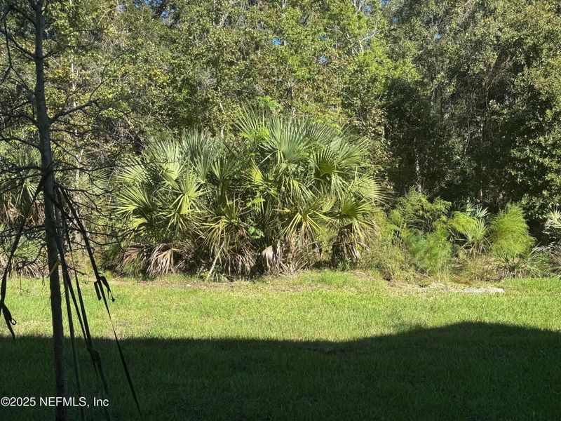 Natural landscape and outdoor views near Bridgewater in St. Augustine (Image 30).