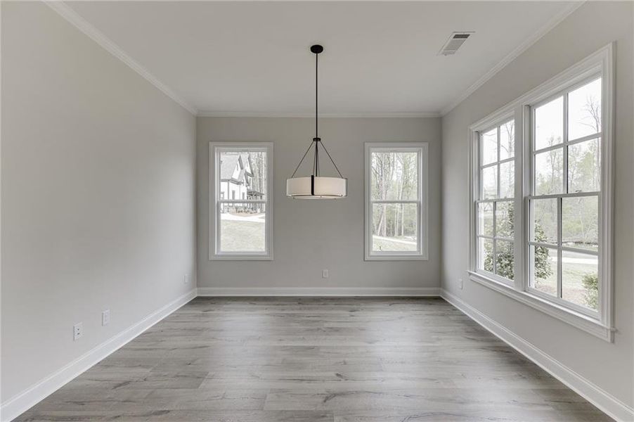 Spacious, unfurnished interior of a new home in , Cumming (Image 34).