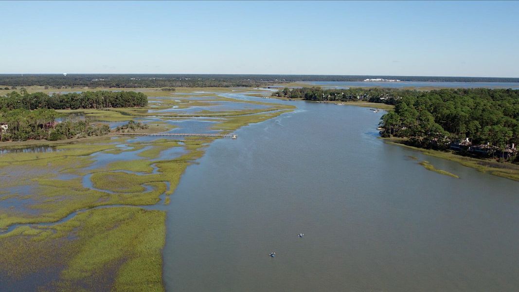 Natural landscape and outdoor views near Rhetts Cove in Johns Island (Image 30).