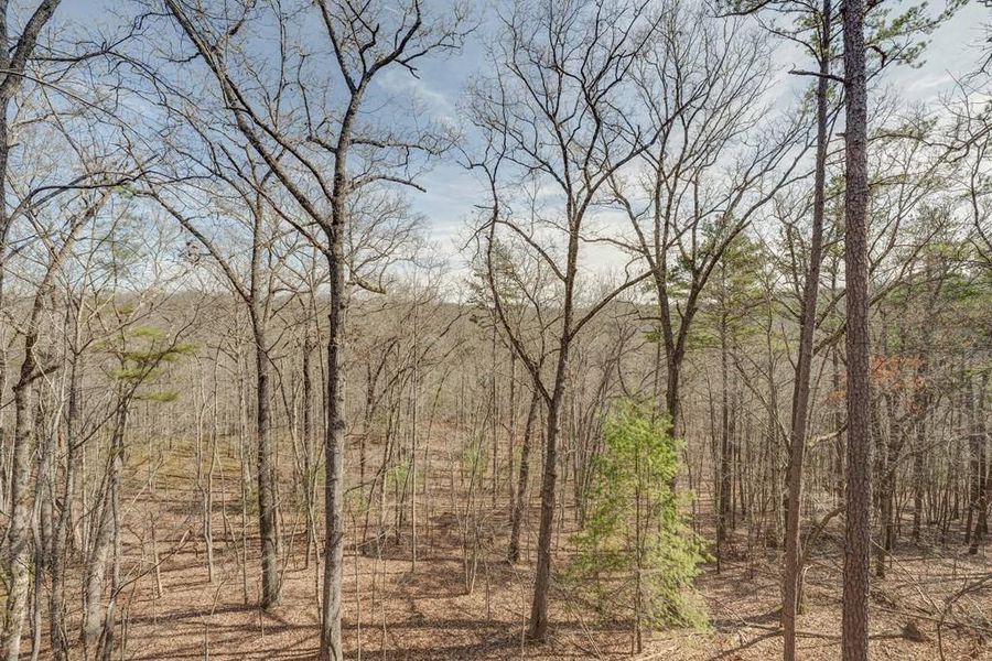 Natural landscape and outdoor views near  in Mineral Bluff (Image 65).