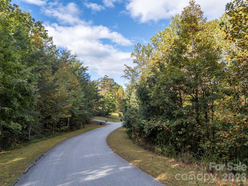 Natural landscape and outdoor views near  in Landrum (Image 10).