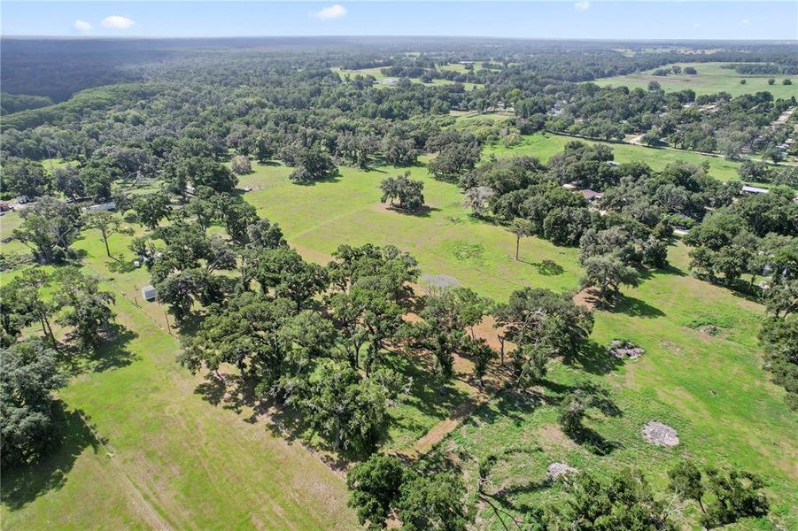 Natural landscape and outdoor views near  in Dade City (Image 21).
