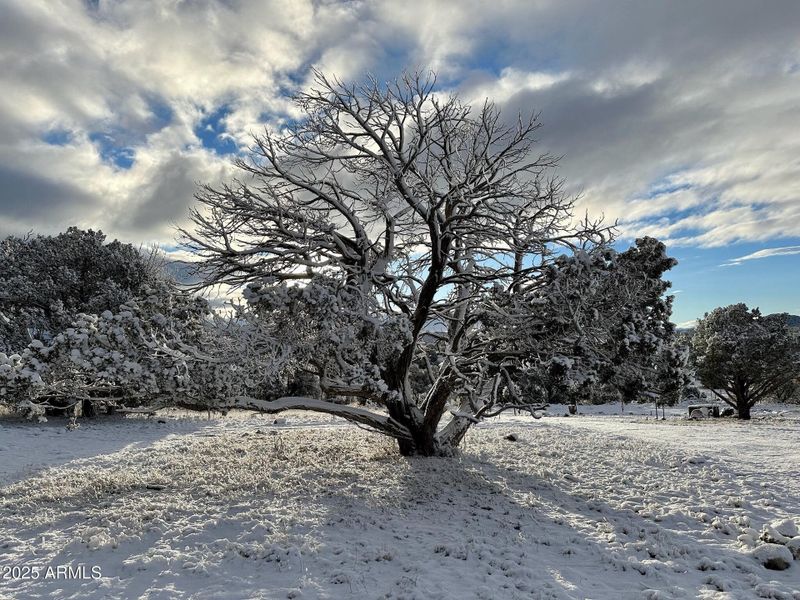 Picturesque Picturesque