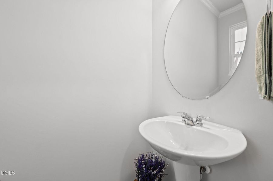 31-web-or-mls-31-print-P1087765