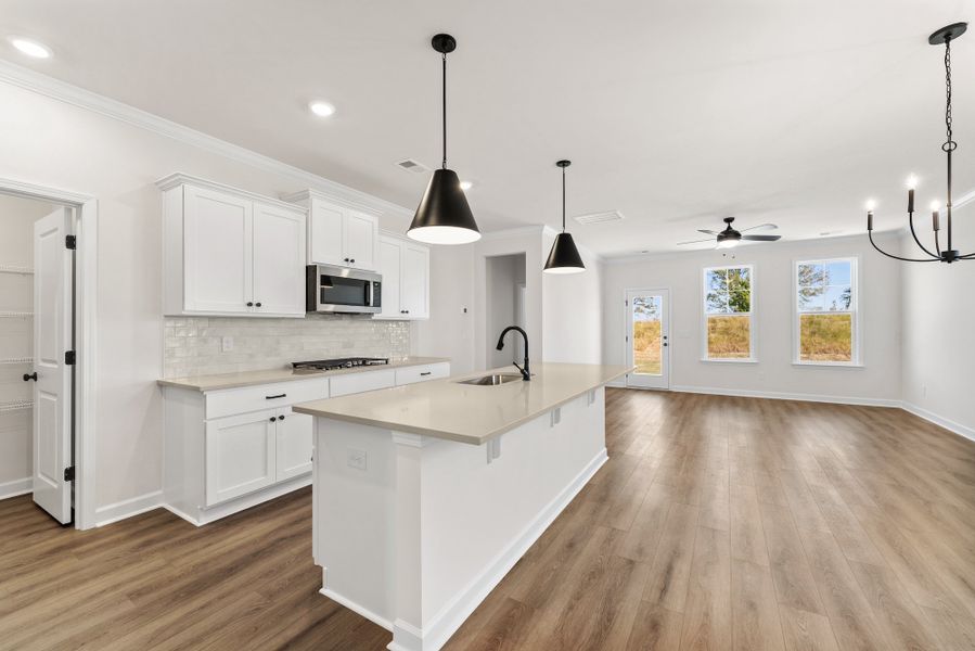 Furnished interior view inside a new home in Landmark Commons, Boiling Springs (Image 7).
