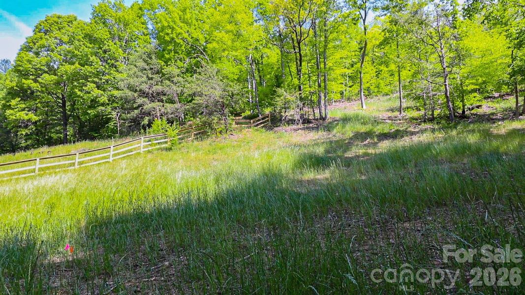 Natural landscape and outdoor views near  in Weaverville (Image 30).