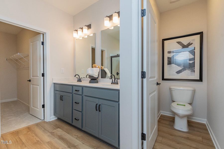 Representational Photo