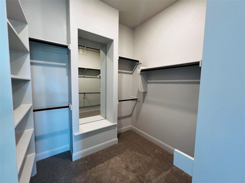 Walk in closet featuring dark carpet
