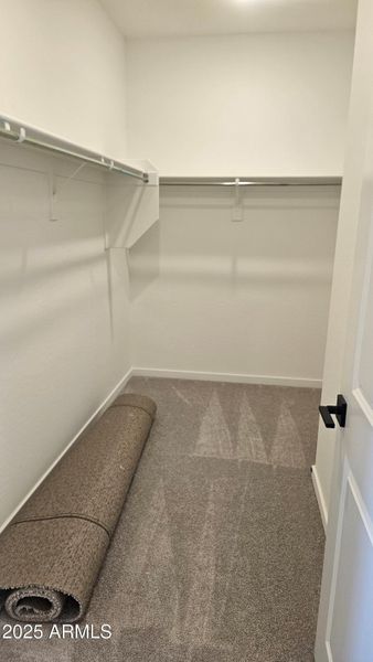 Mason Ranch II Lot 226 Primary Bedroom C